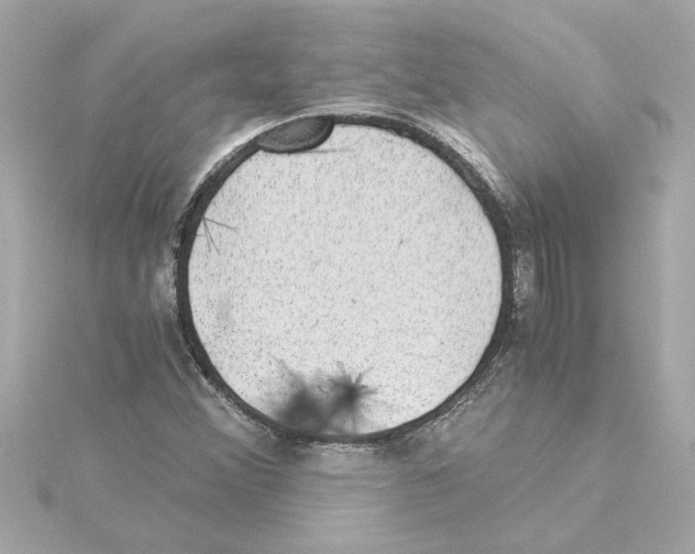 X0000115281356200911271958