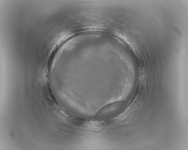 X0000115281357200911271958