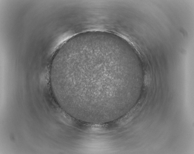 X0000115281359200911271958