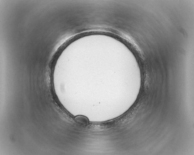 X0000115281360200911271958