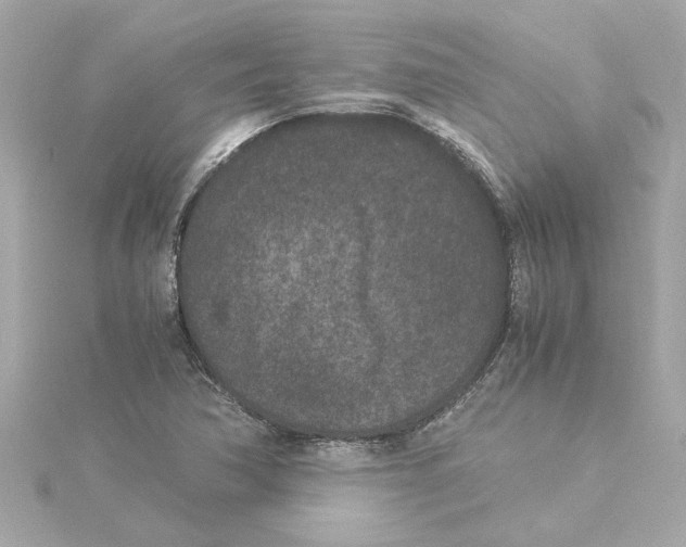 X0000115281362200911271958