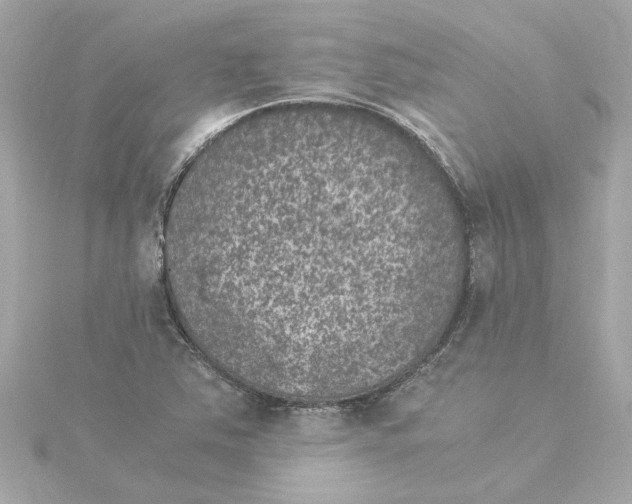 X0000115281363200911271958