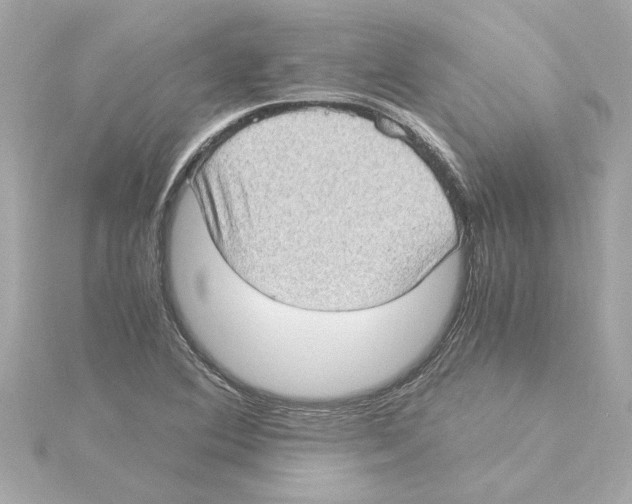 X0000115281364200911271958