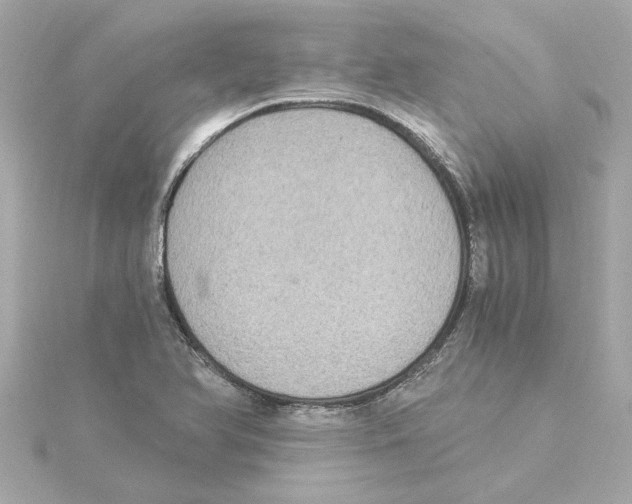 X0000115281366200911271958