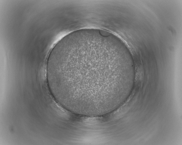 X0000115281367200911271958