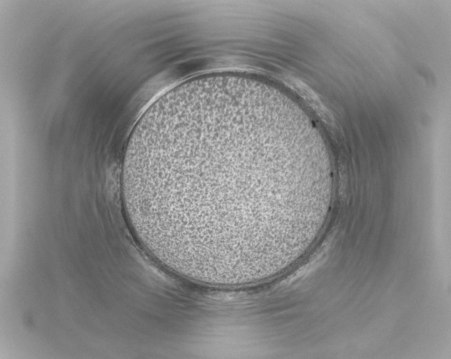 X0000115281369200911271958