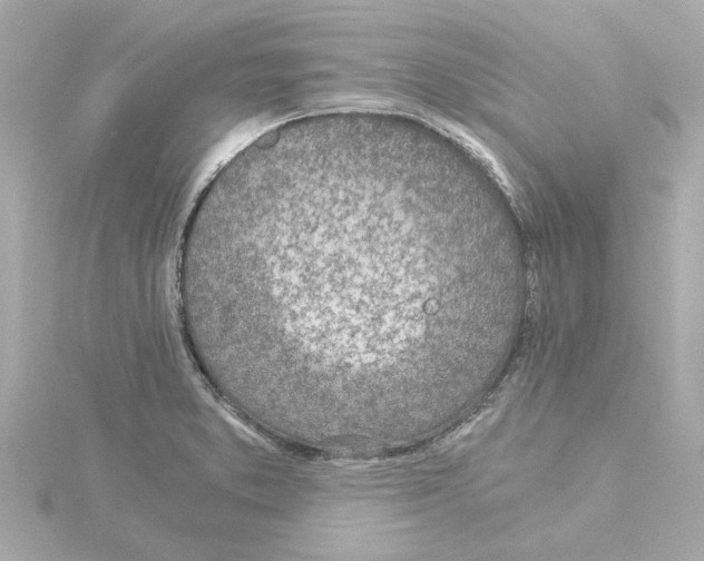 X0000115281373200911271957