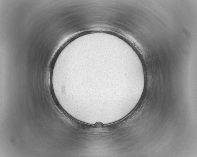 X0000115281376200911271957