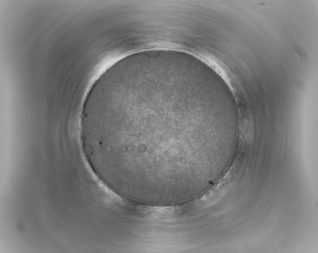 X0000115281381200911271957