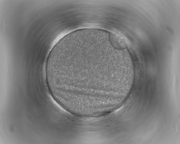 X0000115281382200911271957