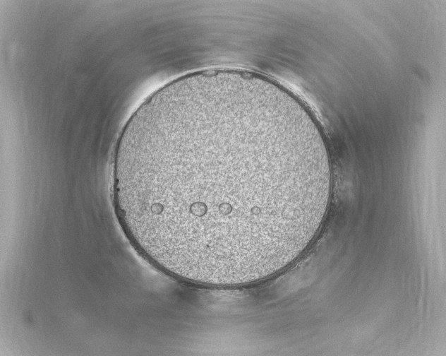 X0000115281383200911271957