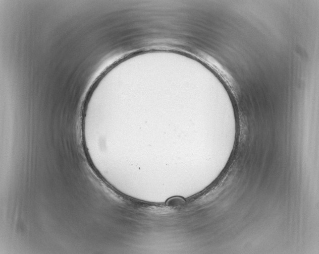 X0000115281384200911271957