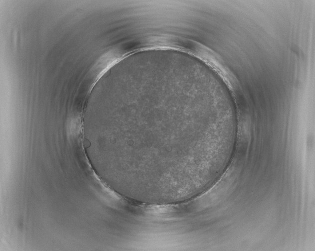 X0000115281385200911271957