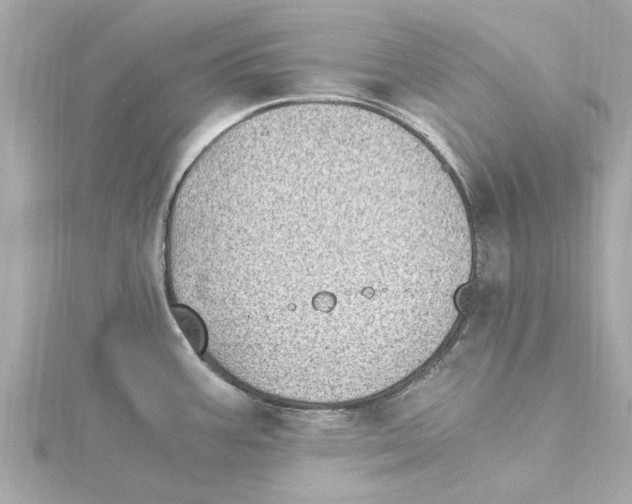 X0000115281387200911271957