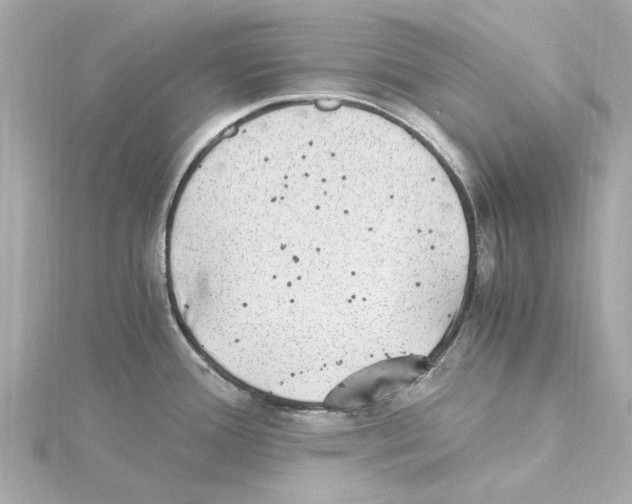 X0000115281388200911271957