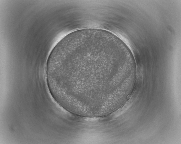 X0000115281389200911271957