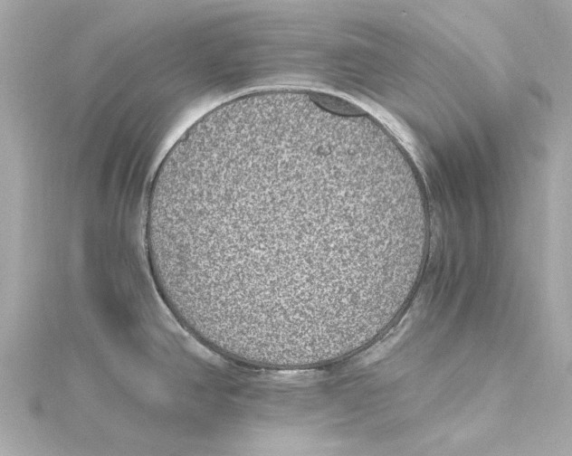 X0000115281390200911271957