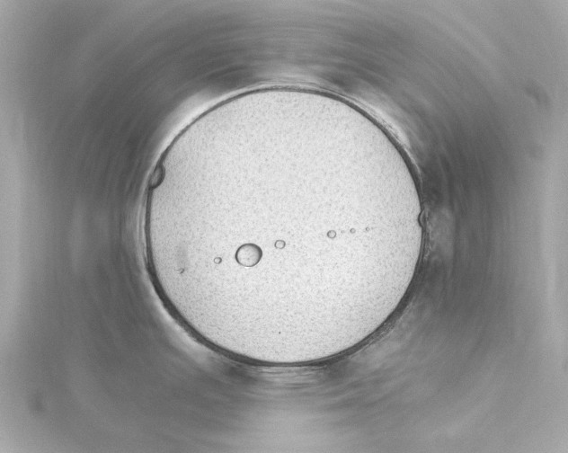 X0000115281391200911271957