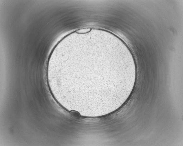 X0000115281392200911271957