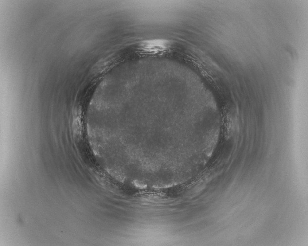 X0000115281394200911271957