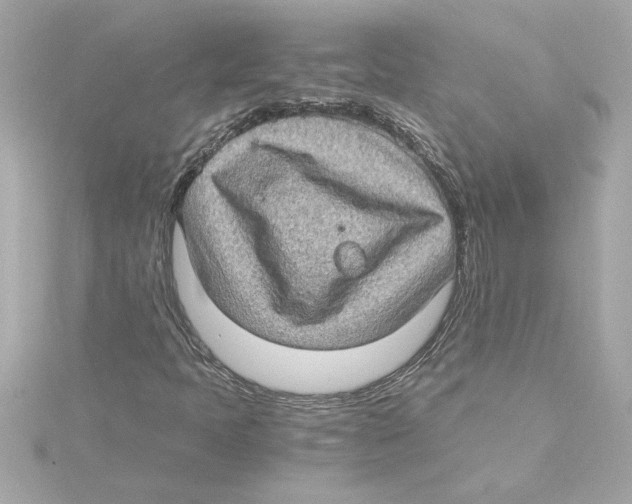 X0000115281397200911271957