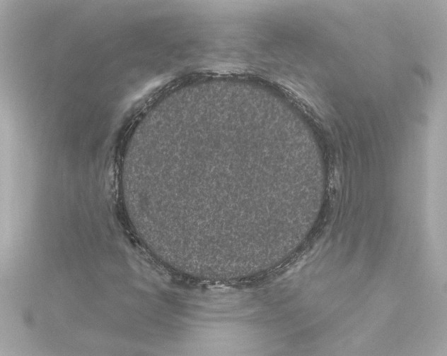 X0000115281398200911271957