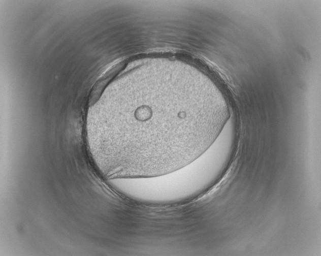 X0000115281401200911271957