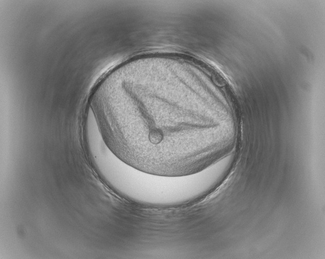 X0000115281405200911271957