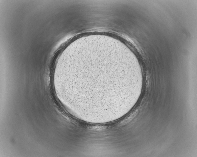 X0000115281406200911271957