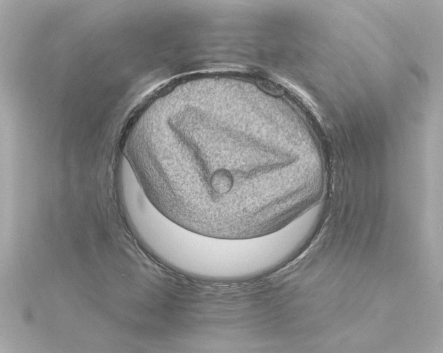 X0000115281407200911271957