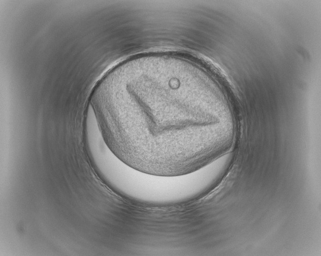 X0000115281409200911271957