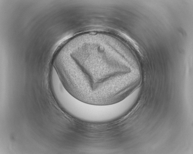 X0000115281411200911271957