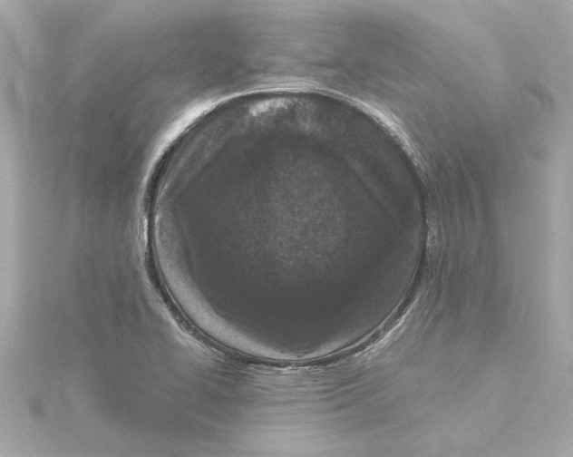 X0000115281414200911271957