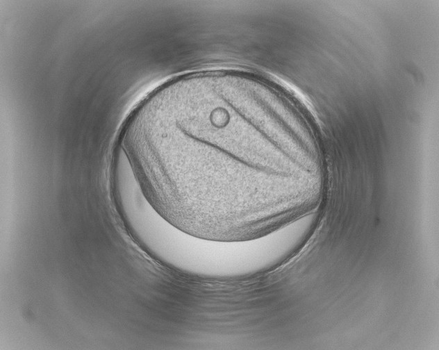 X0000115281415200911271957