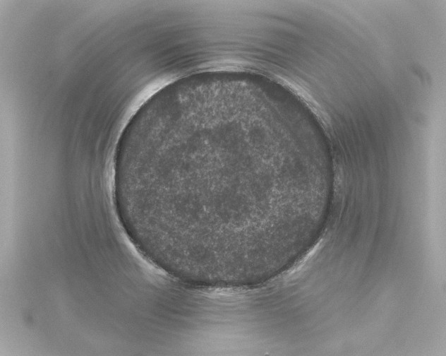 X0000115281418200911271957