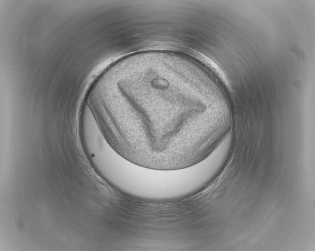 X0000115281419200911271957