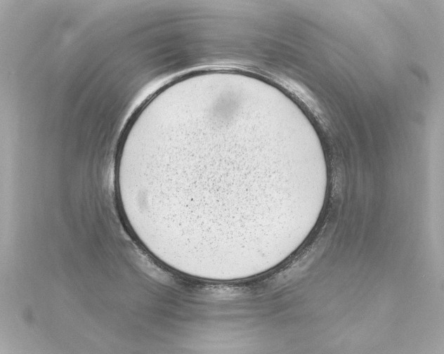 X0000115281420200911271957