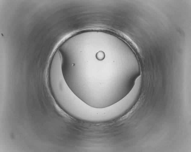 X0000115281421200911271957