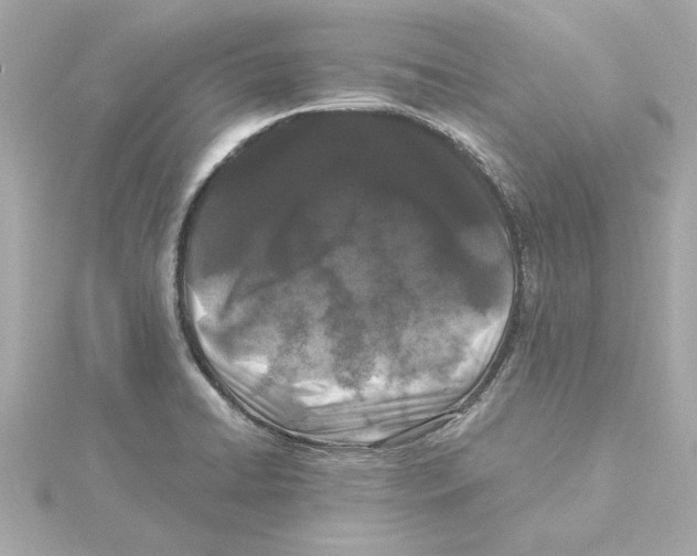 X0000115281422200911271957