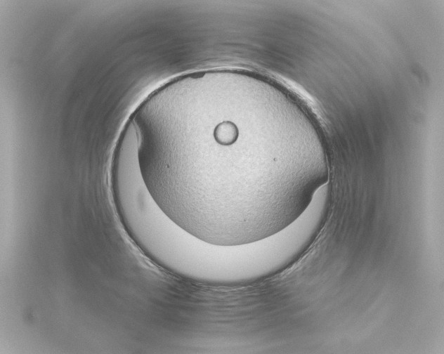 X0000115281423200911271957