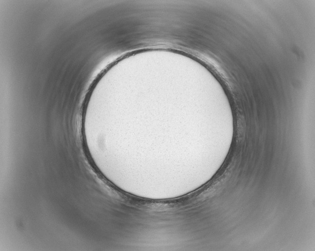 X0000115281424200911271957