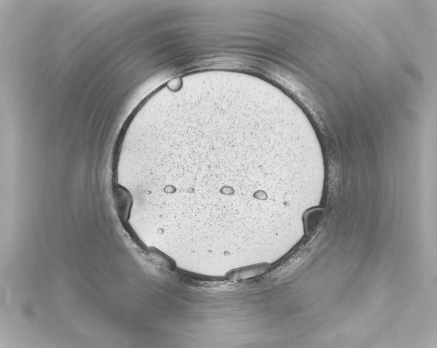 X0000115281426200911271957