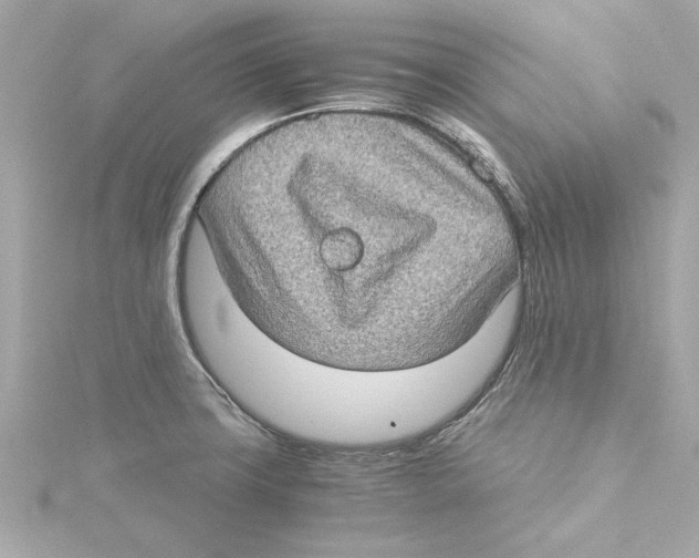 X0000115281427200911271957