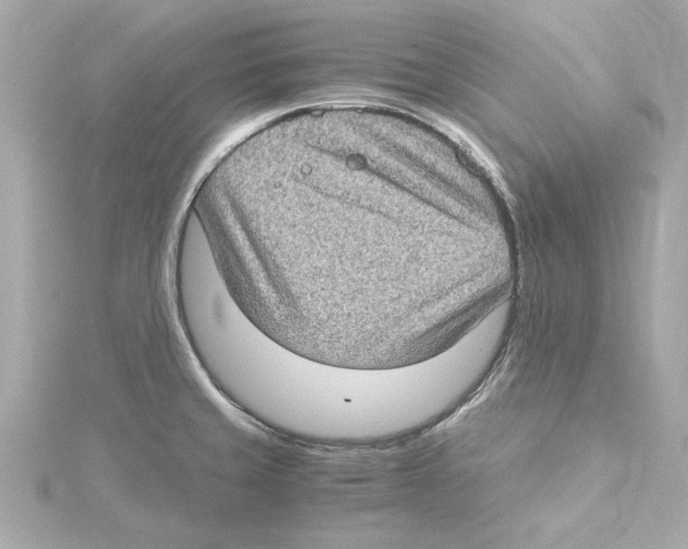 X0000115281429200911271957