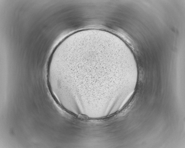 X0000115281430200911271957