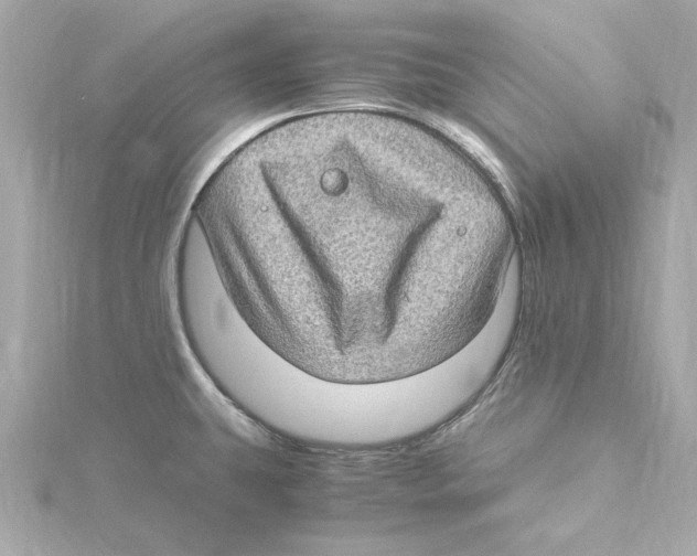 X0000115281431200911271957