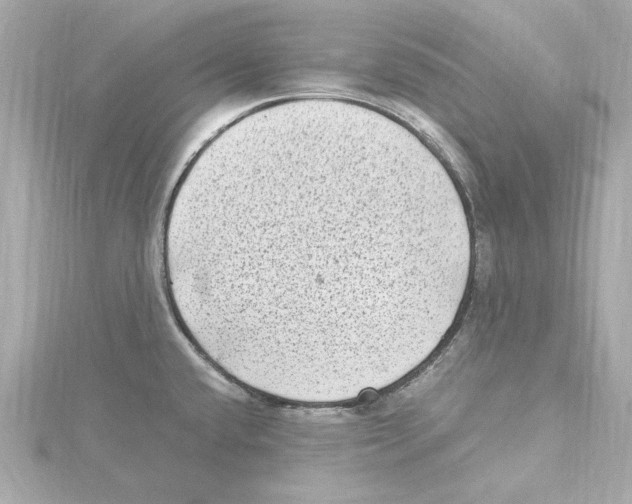 X0000115281432200911271957