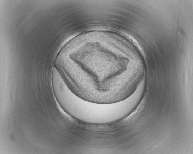 X0000115281433200911271957