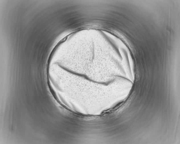 X0000115281434200911271957