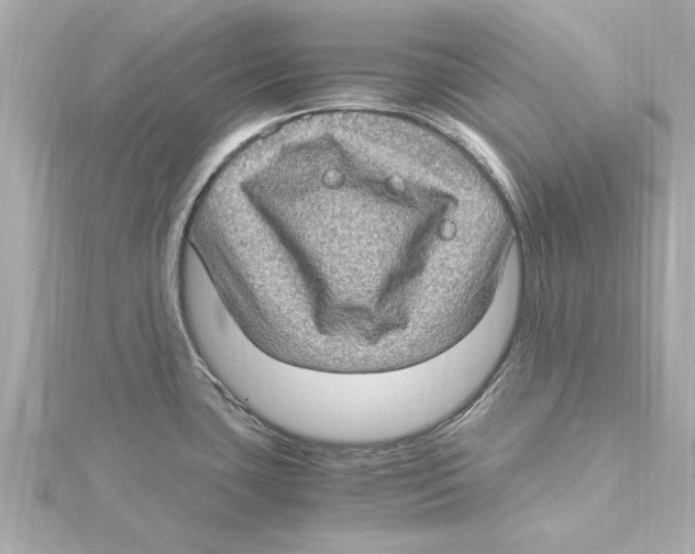 X0000115281435200911271957